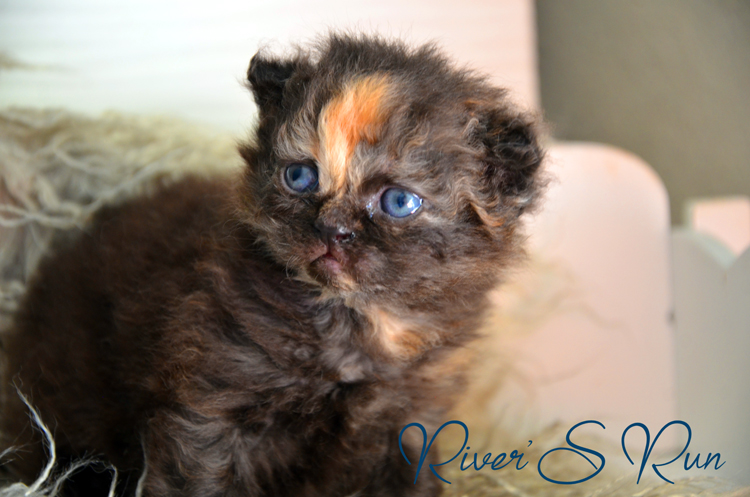 Vicky 27.janvier (10).jpg